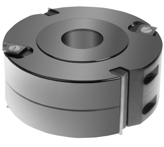 02.125.050.030A2 Rebating Cutter with TC Reversible Blades