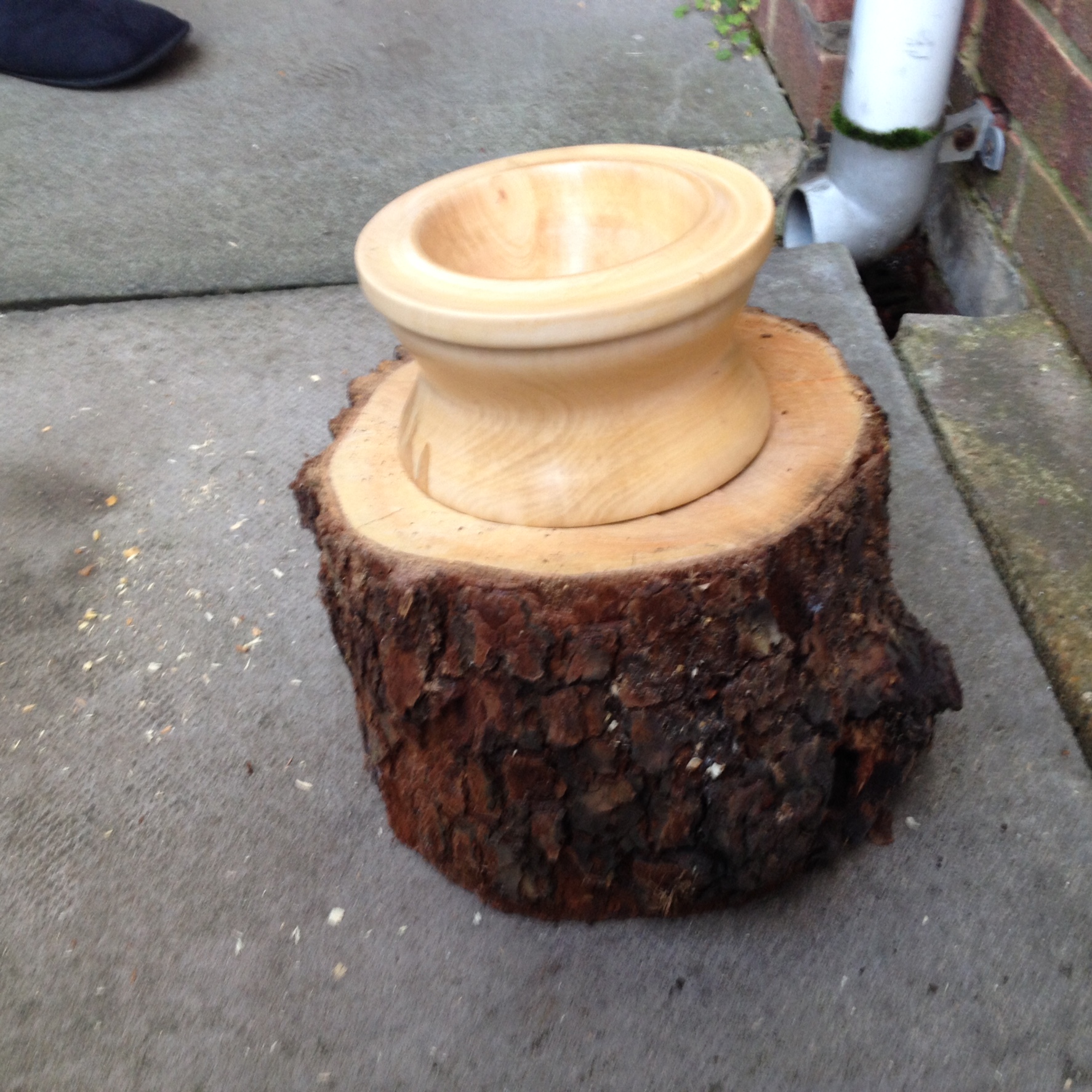 Beginners Bowl turned from slice of tree. 