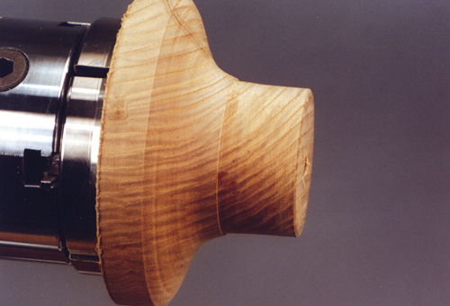 12. The Back Profile