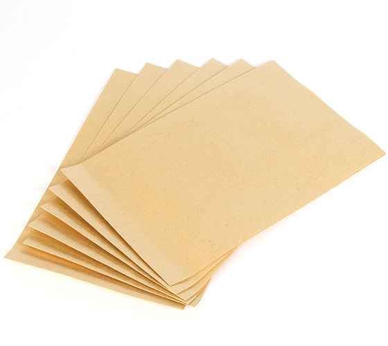 CVG170-101 Paper Filter Bag (6 per pkt)